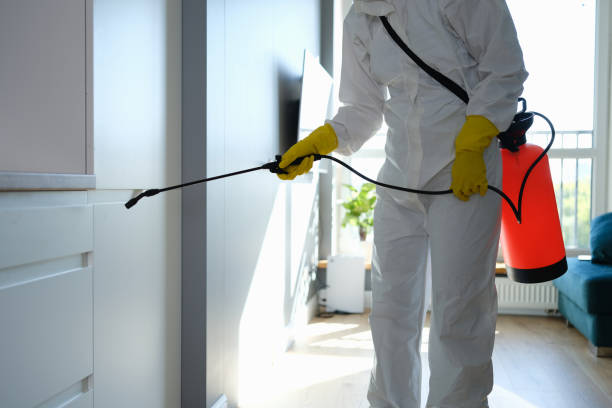 Best Professional Mold Removal  in El Cenizo, TX